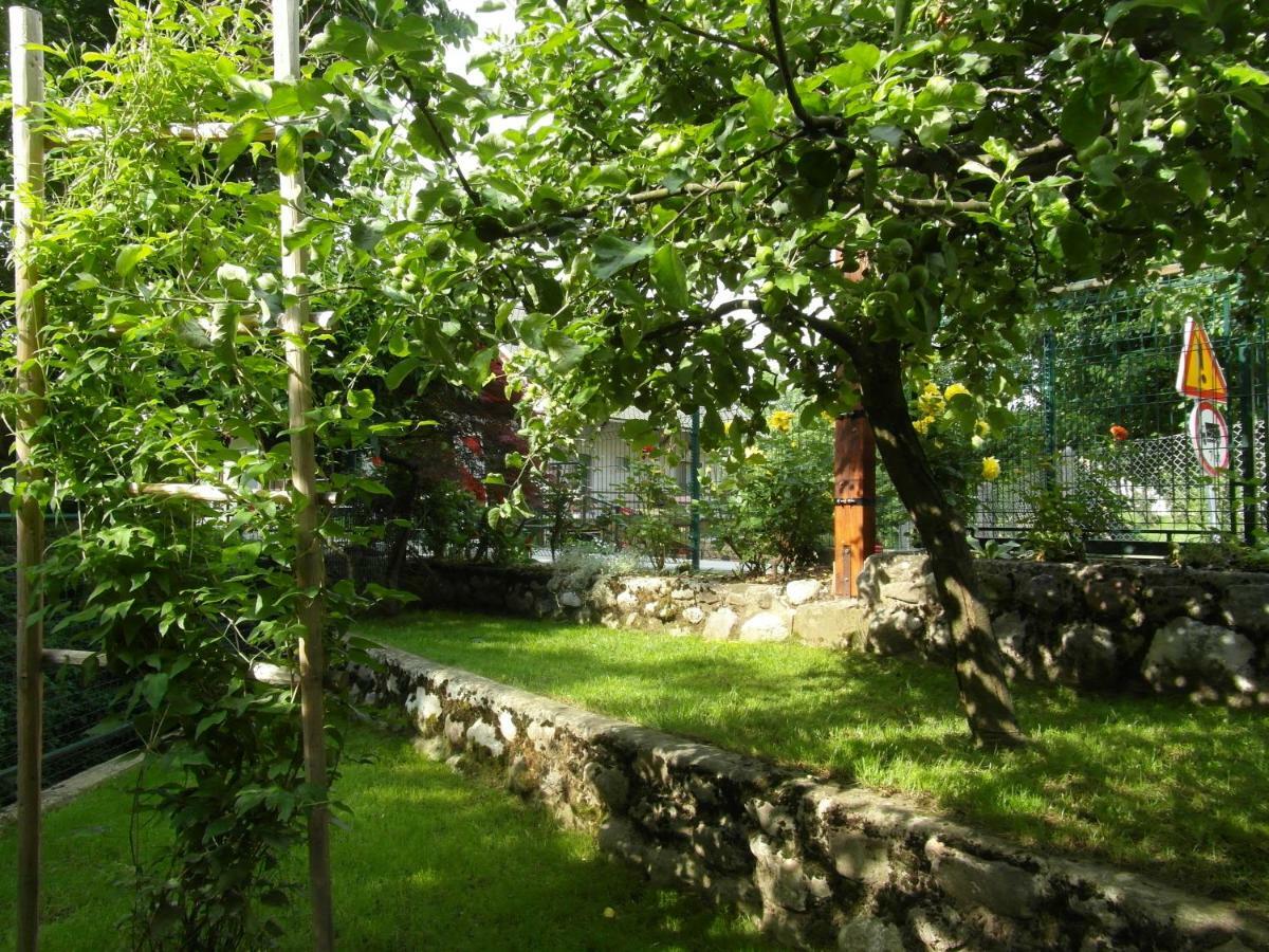 Apartma Pr Martin Begunje na Gorenjskem Exterior photo